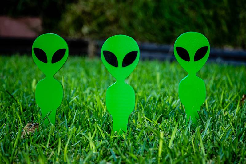 According to the company, the $1 million grand prize will go to the person who captures "unaltered scientific evidence of a real extraterrestrial lifeform on their indoor or outdoor Ring device."