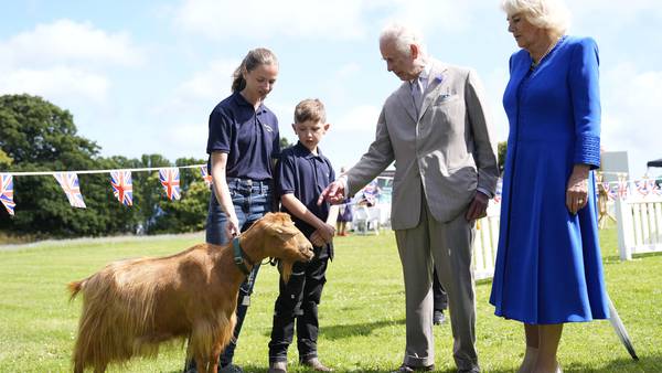 No kidding! King Charles III bestows royal title on rare golden goat breed