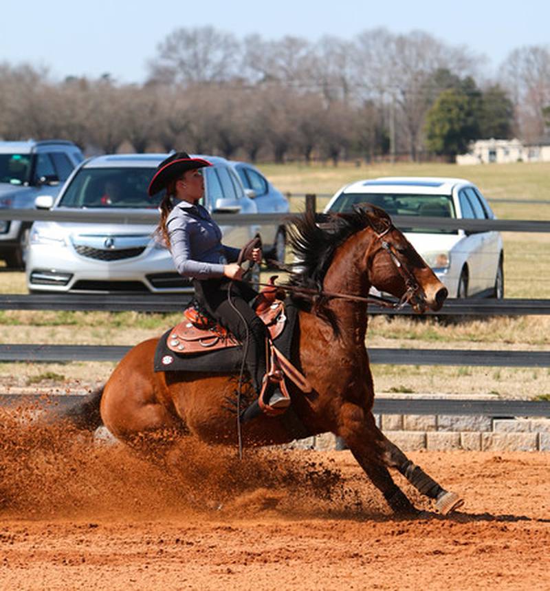 UGA to host SEC equestrian championships WGAU