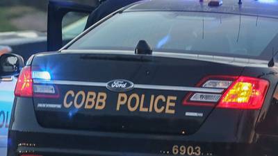 Suspect identified in theft of service dog in Cobb County