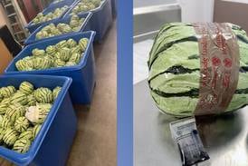 2 tons of meth disguised as watermelons found in tractor-trailer; Customs calls it ‘seedy situation’