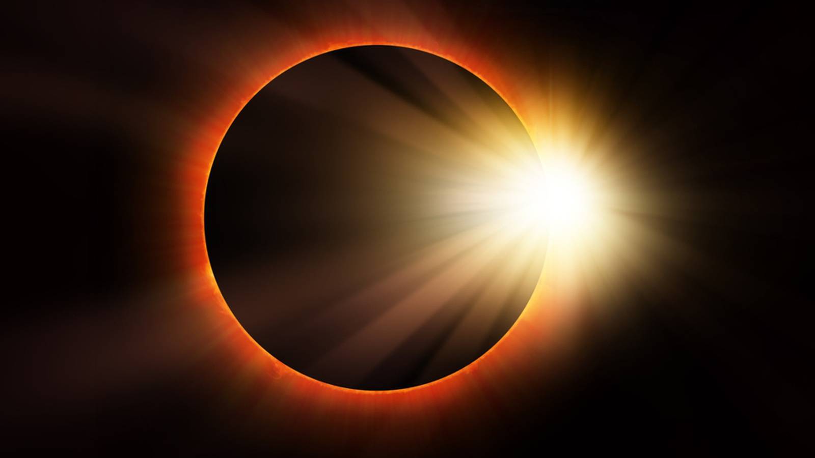 Solar Eclipse 2024 When the sunlight disappears animals may act
