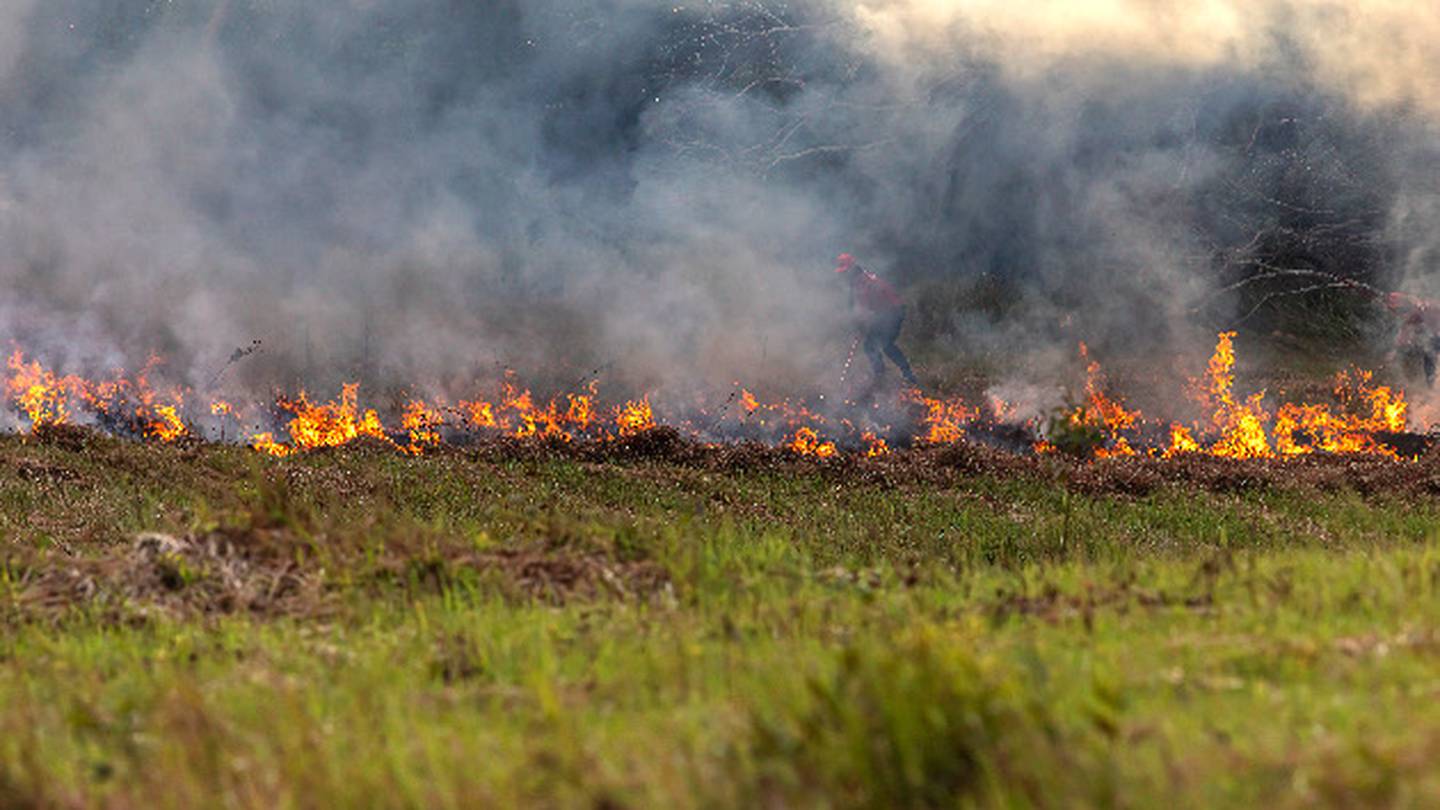 TV Anchor and Hawaii Native Recounts Destruction of the Deadly Maui  Wildfires