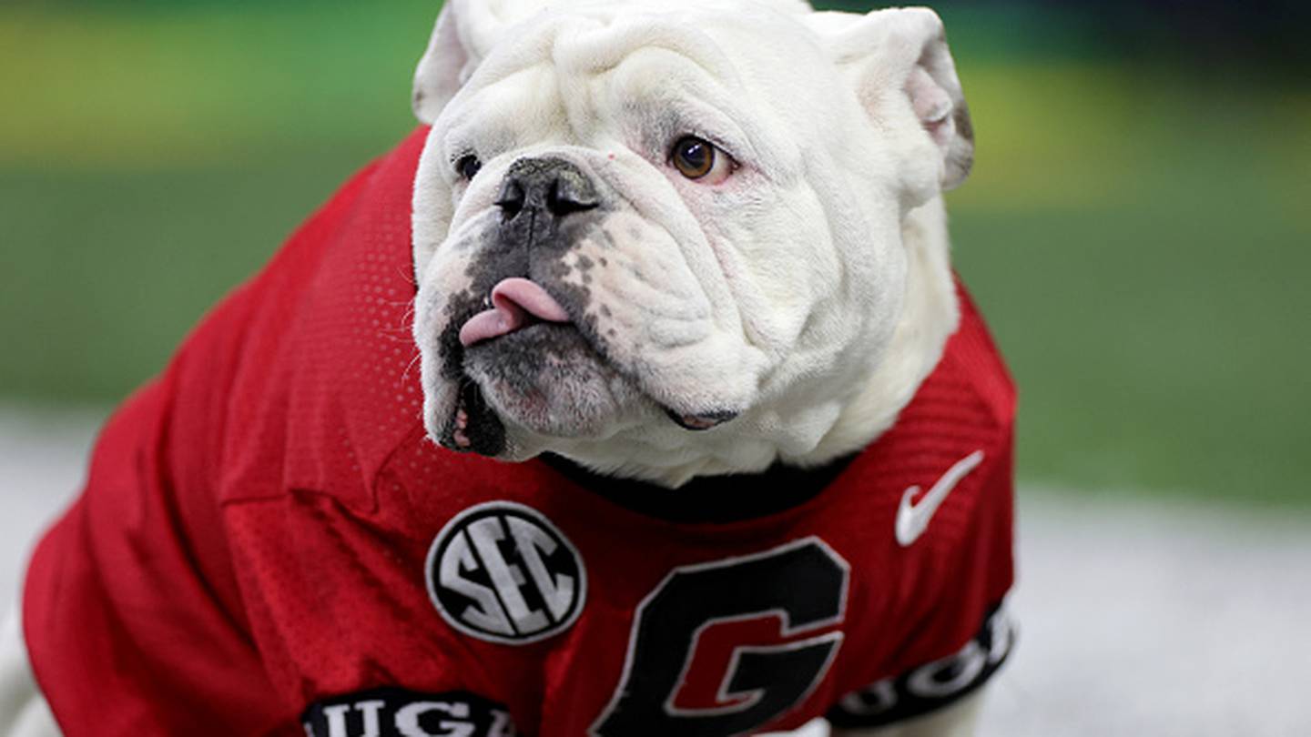 GDay fans will be first to see new Uga mascot WGAU